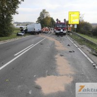 Tödlicher Verkehrsunfall auf B10 - Frau und Hund sterben, mehrere FZ beteiligt