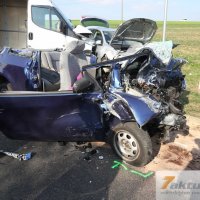 Tödlicher Verkehrsunfall auf B10 - Frau und Hund sterben, mehrere FZ beteiligt