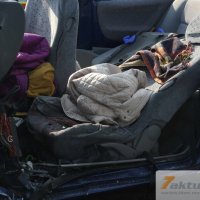 Tödlicher Verkehrsunfall auf B10 - Frau und Hund sterben, mehrere FZ beteiligt