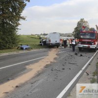Tödlicher Verkehrsunfall auf B10 - Frau und Hund sterben, mehrere FZ beteiligt