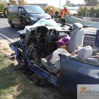 Tödlicher Verkehrsunfall auf B10 - Frau und Hund sterben, mehrere FZ beteiligt