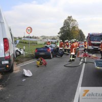 Tödlicher Verkehrsunfall auf B10 - Frau und Hund sterben, mehrere FZ beteiligt