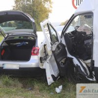 Tödlicher Verkehrsunfall auf B10 - Frau und Hund sterben, mehrere FZ beteiligt