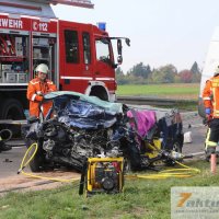 Tödlicher Verkehrsunfall auf B10 - Frau und Hund sterben, mehrere FZ beteiligt