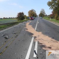 Tödlicher Verkehrsunfall auf B10 - Frau und Hund sterben, mehrere FZ beteiligt