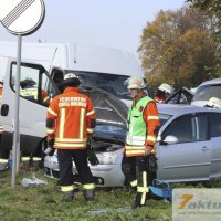 Tödlicher Verkehrsunfall auf B10 - Frau und Hund sterben, mehrere FZ beteiligt