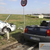 Tödlicher Verkehrsunfall auf B10 - Frau und Hund sterben, mehrere FZ beteiligt