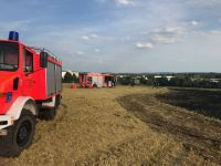 2017-07-18_Feuerwehr-Stammheim_Brand-Stoppelfeld_Foto_07_AF